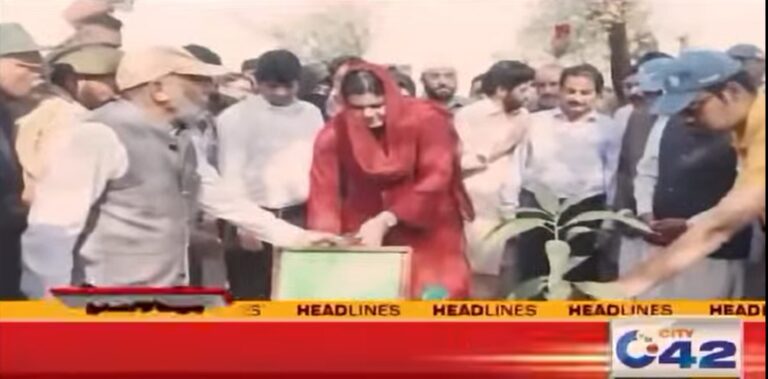 Read more about the article معاون خصوصی وزیر اعلیٰ پنجاب برائے پرائس کنٹرول سلمی بٹ کی سربراہی میں شجر کاری مہم کا آغاز