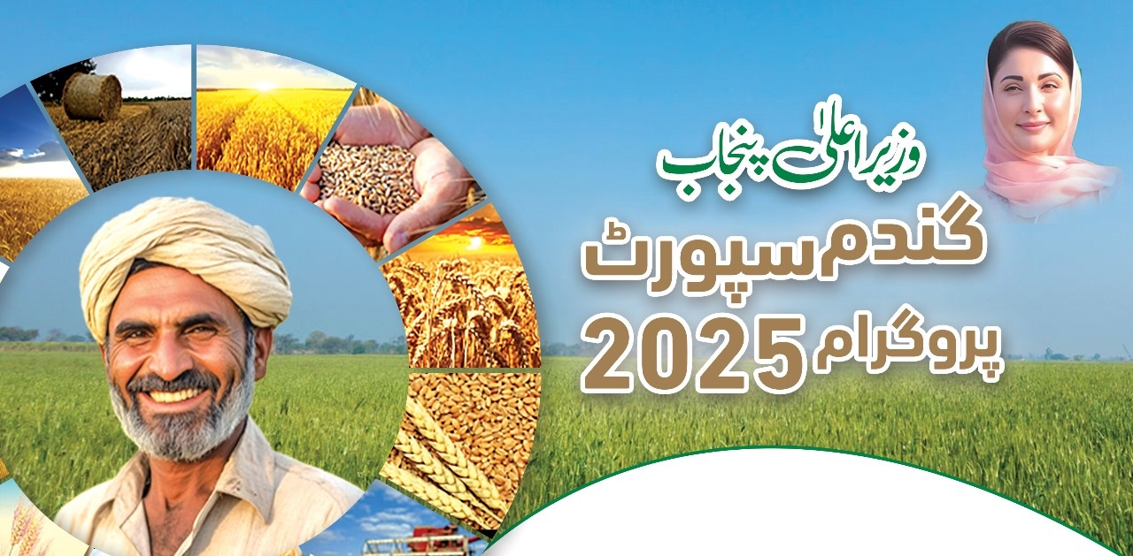 Read more about the article وزیر اعلیٰ پنجاب مریم نواز گندم سپورٹ پروگرام 2025 کا آغاز