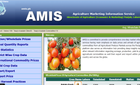 Screenshot 2025-10-14 111900